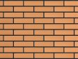 Кирпич керамический Славянский облицовочный одинарный БЕЖ Евро 0,7 NF